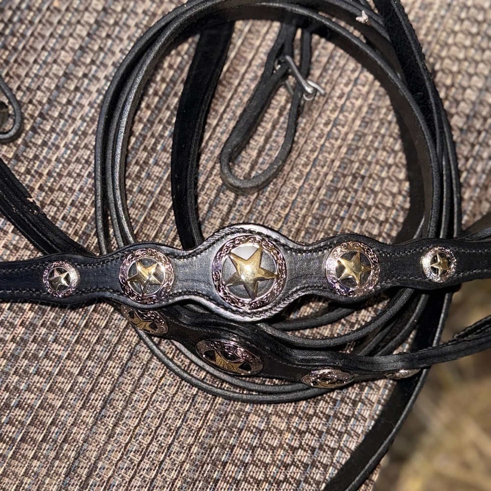 Bridle, Breast Strap, Reins